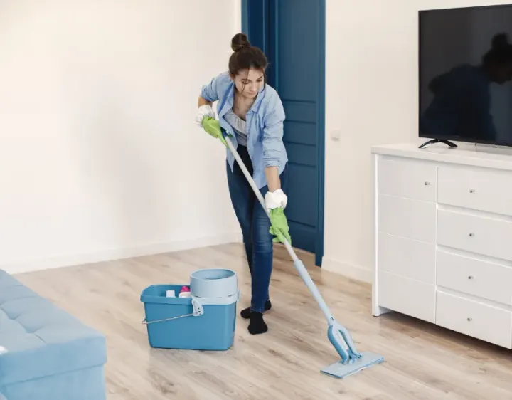 Femme de ménage Gugnécourt